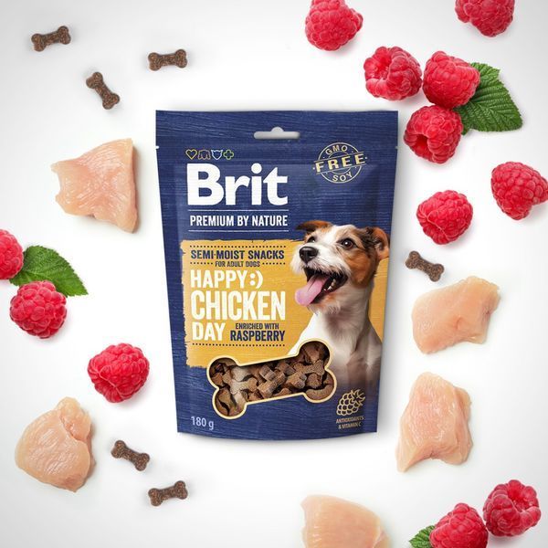 Ласощі Brit Premium Semi-moist Snacks Chicken with Raspberry напіввологі для cобак з куркою і малиною 180 г 8595602573912 8595602573912 фото