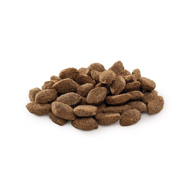 Корм сухий Brit Premium Dog Light для собак з надмірною вагою з індичкою 15 кг 8595602526604 170841/6604 фото