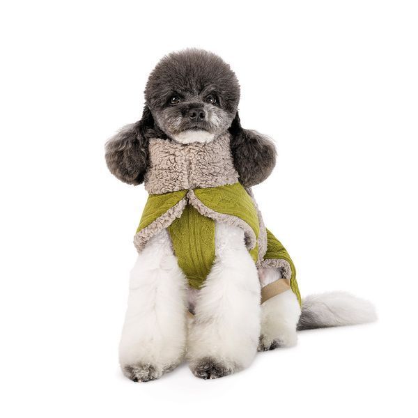 Попона для собак Gigi Pet Fashion ХS2 фісташковий бежевий 4823082442942 4823082442942 фото