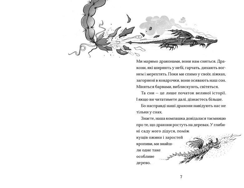 Книга Хлопчик, який марив драконами. Книга 4. Автор - Енді Шепард (ВСЛ) 9789664481783 фото