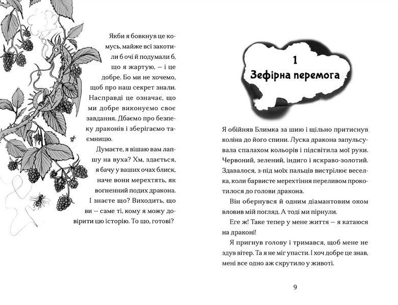 Книга Хлопчик, який марив драконами. Книга 4. Автор - Енді Шепард (ВСЛ) 9789664481783 фото