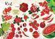 Книжка-білінгва "Мої улюблені фрукти та овочі / My favorite vegetables and fruits" Талант 4+ 9789669890702 фото 2