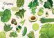 Книжка-білінгва "Мої улюблені фрукти та овочі / My favorite vegetables and fruits" Талант 4+ 9789669890702 фото 3