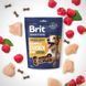 Ласощі Brit Premium Semi-moist Snacks Chicken with Raspberry напіввологі для cобак з куркою і малиною 180 г 8595602573912 8595602573912 фото 2