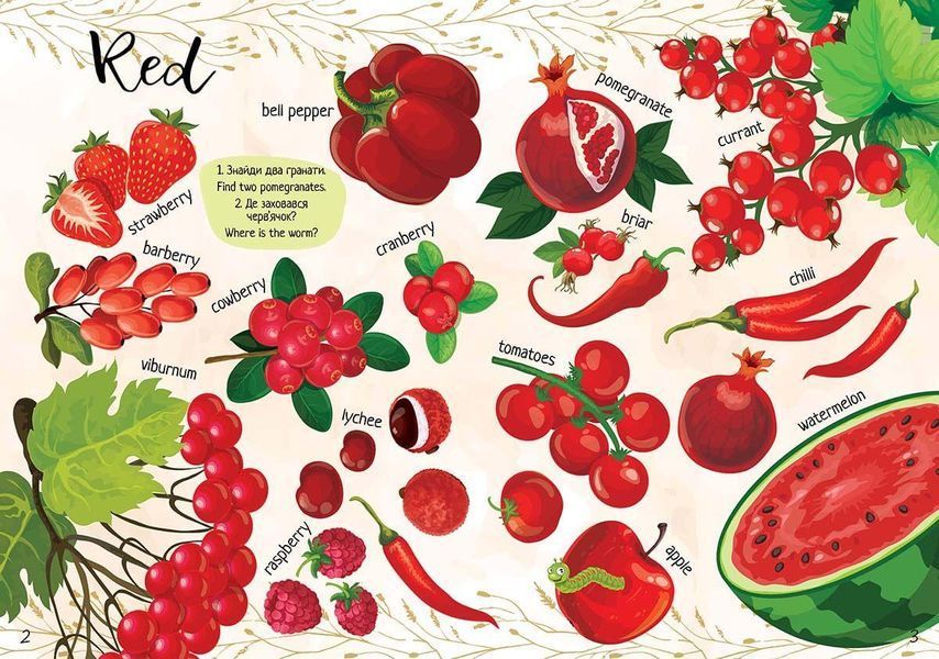 Книжка-білінгва "Мої улюблені фрукти та овочі / My favorite vegetables and fruits" Талант 4+ 9789669890702 фото