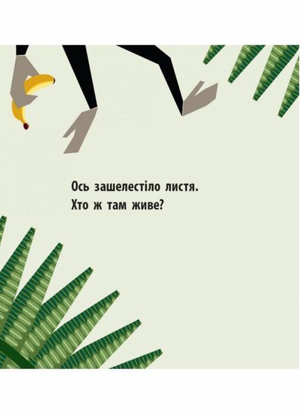 Книжка-картонка Познайомся з нами : Команда джунглів. Автор Мадлєн Роджерс. С885009У 9789667490119 9789667490119 фото