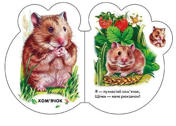 Книжка-картонка "Малята у селі" М411016У 9789667508593 9789667508593 фото
