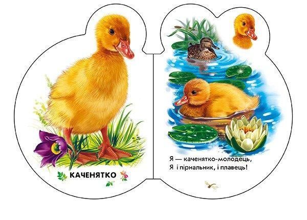 Книжка-картонка "Малята у селі" М411016У 9789667508593 9789667508593 фото