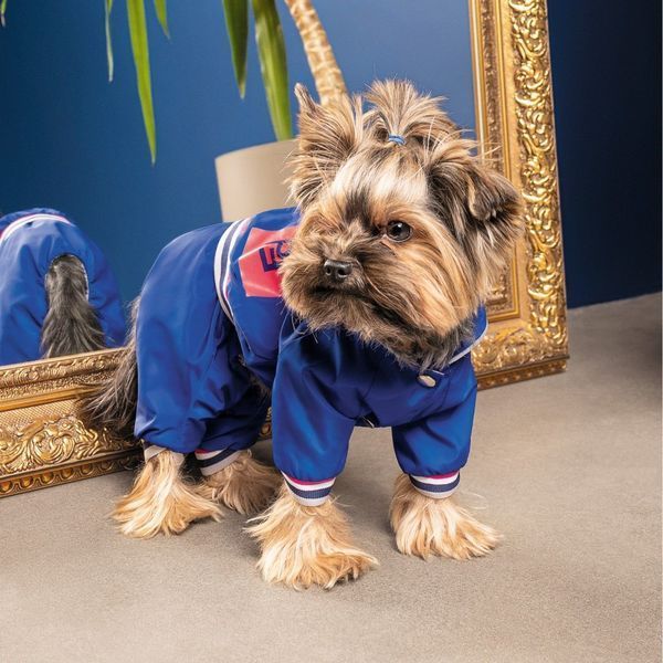 Дощовик Pet Fashion Silver для собак L 4823082429950 4823082429950 фото