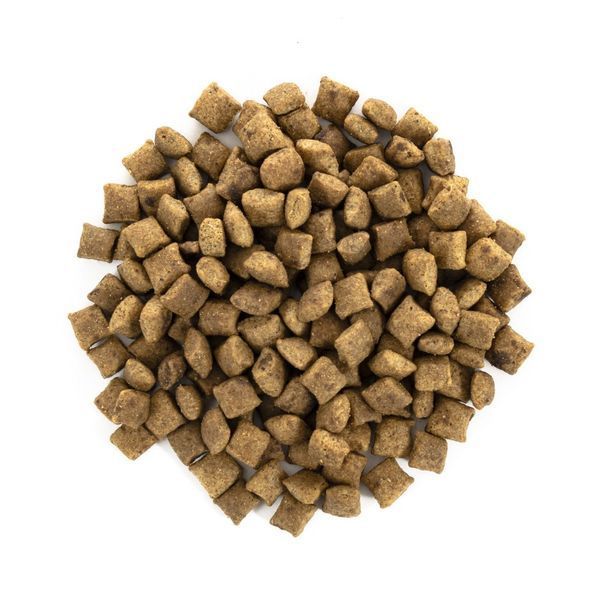 Корм сухий Brit Care Cat Grain Free Sterilized Weight Control для стерилізованих котів з надмірною вагою качка та індичка 171294/0792 фото