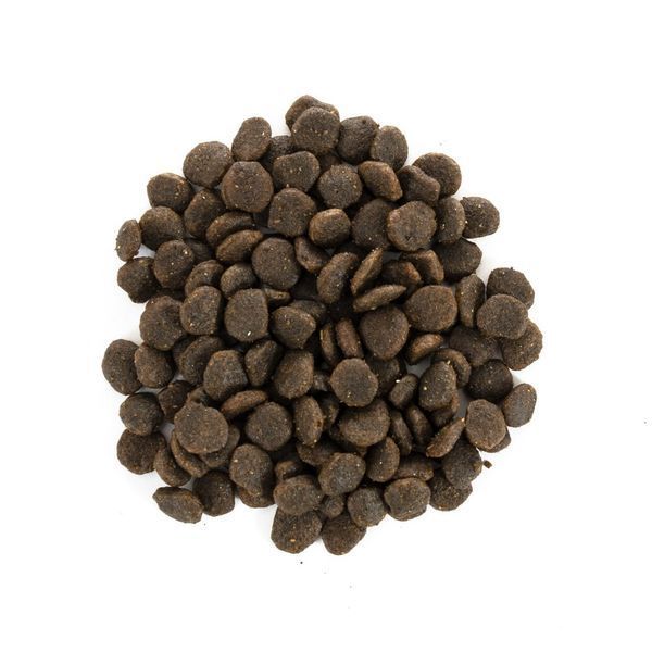 Корм сухий Brit Care Grain Free Mini Yorkshire для йоркширських тер&rsquo;єрів з лососем та тунцем 7 кг 8595602520213 170781/0213 фото