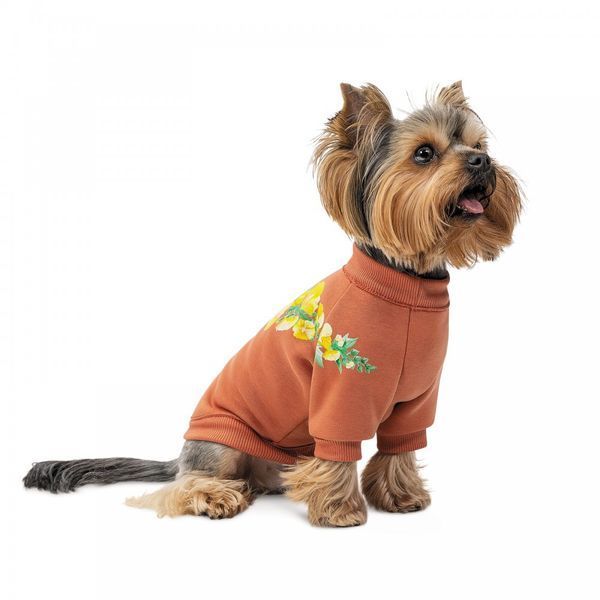 Толстовка Pet Fashion Pet Fashion Miley коричнева M 4823082434732 4823082434732 фото