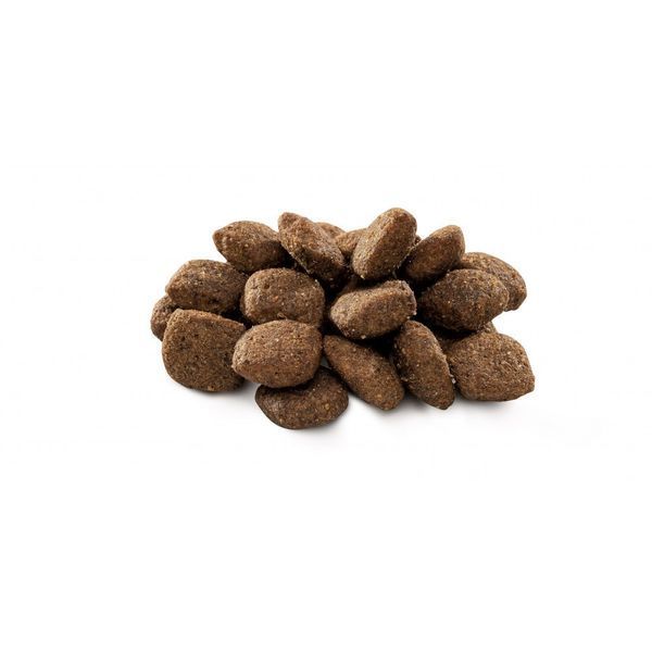 Корм сухий Brit Premium Dog Sensitive Lamb для собак з чутливим травленням з ягням 1 кг 8595602526611 170842/6611 фото