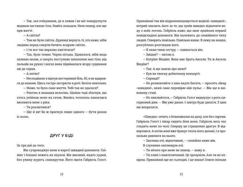 Книга Дама з долини. Книга 3. Автор - Кетіль Бйорнстад (ВСЛ) 9786176799030 фото