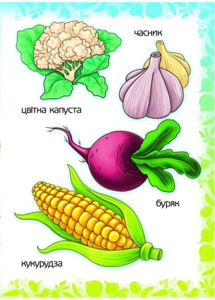 Вчимо овочі. Вчимося з радістю 9789664660256 фото