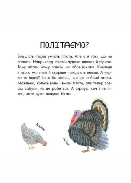 В гостях у природи : Птахи різні та дивовижні S934004У 9786170942715 9786170942715 фото