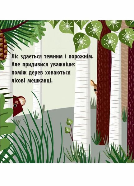 Книжка-картонка Познайомся з нами : Лісова компанія. Автор Мадлєн Роджерс. С885011У 9789667490133 9789667490133 фото