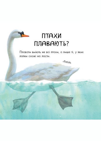 В гостях у природи : Птахи різні та дивовижні S934004У 9786170942715 9786170942715 фото