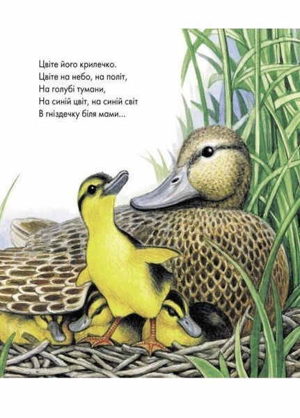 Книга Письменники - дітям : Жовтий гостинець. Тверда обкладинка Р137007У 9786170917379 221649 фото