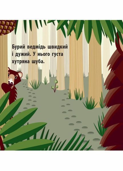 Книжка-картонка Познайомся з нами : Лісова компанія. Автор Мадлєн Роджерс. С885011У 9789667490133 9789667490133 фото