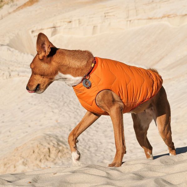 Жилет Pet Fashion E.Vest для собак помаранчевий L 4823082424337 4823082424337 фото