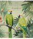 Комплект 5 шт загальних зошитів Amazing birds. Зошит Школярик 48 арк. у клітинку 3402 048-3402K 4820006476441 4820006476441_14 фото 3