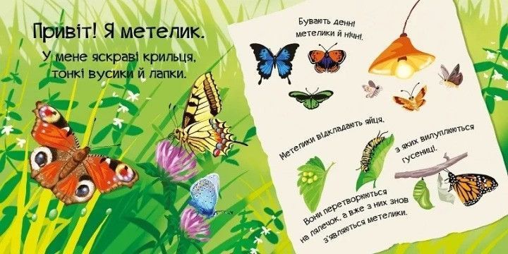 Знайомся, я комашка Віват 9789669426116 фото