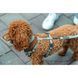 Шлея Trixie CityStyle H-harness для собак бавовна XS&ndash;S 30&ndash;44 см 10 мм світло-сіра 4053032682603 4053032682603 фото 2