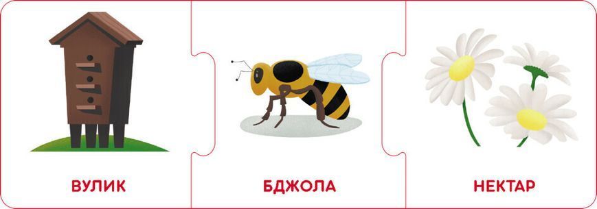 Кенгуру "Логічні ланцюжки. Світ тварин. Хто де живе і що їсть" 3+ 495741 фото