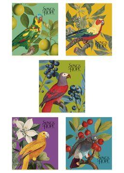 Комплект 5 шт загальних зошитів Birds. Зошит Школярик 96 арк. у клітинку 3410 4820006476489 4820006476489_096-3410K фото