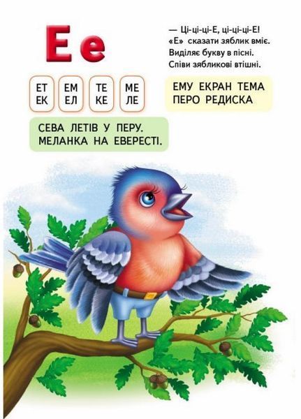 Набір. Буквар малюкам. Абетка. Перші знання малюка. Книжка-картонка. Пегас 9789669476074 9789669476074N фото