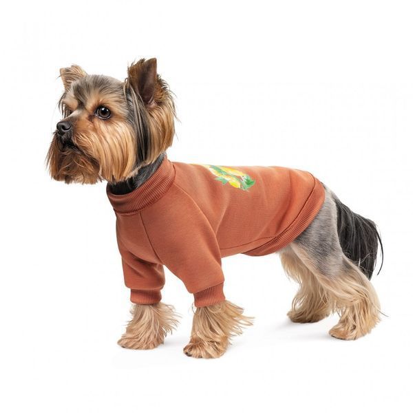 Толстовка Pet Fashion Miley коричнева XS2 4823082434718 4823082434718 фото