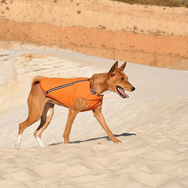 Жилет Pet Fashion E.Vest для собак помаранчевий М2 4823082424320 4823082424320 фото