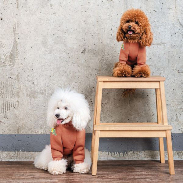 Толстовка Pet Fashion Miley коричнева XS2 4823082434718 4823082434718 фото