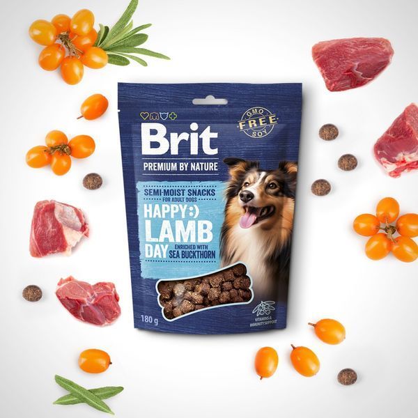 Ласощі Brit Premium Semi-moist Snacks Lamb with Sea Buckthorn напіввологі для cобак з ягням і обліпихою 180 г 8595602573943 8595602573943 фото
