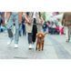 Шлея Trixie CityStyle H-harness для собак бавовна S&ndash;M 42&ndash;60 см 15 мм світло-сіра 4053032682627 4053032682627 фото 3