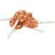 Ласощі Trixie Chicken Cheese Lolly bulk для собак Сирний льодяник з куркою брутто 10 см 20 г 4053032447998 315432***** фото 1