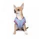 Бомбер Pet Fashion Spike для собак S 4823082430222 4823082430222 фото 3
