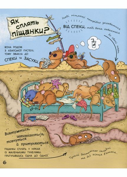 В гостях у тварин : Як тварини сплять С952001Р 9786170959683 348519 фото