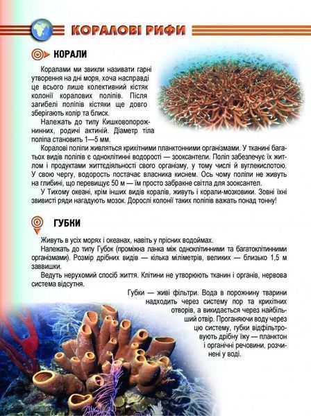 Енциклопедія "Мешканці морів та океанів" Талант Тверда Обкладинка Автор Тетяна Жабська 9786176950318 фото