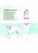 Книга з наліпками Стильні домашні улюбленці Z101111У 9786177853229 482469 фото 6