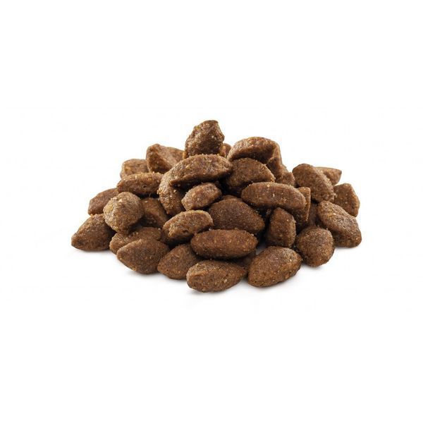 Корм сухий Brit Premium Dog Sport для дорослих собак усіх порід з високими витратами енергії з куркою 3 кг 8595602526666 170847/6666 фото