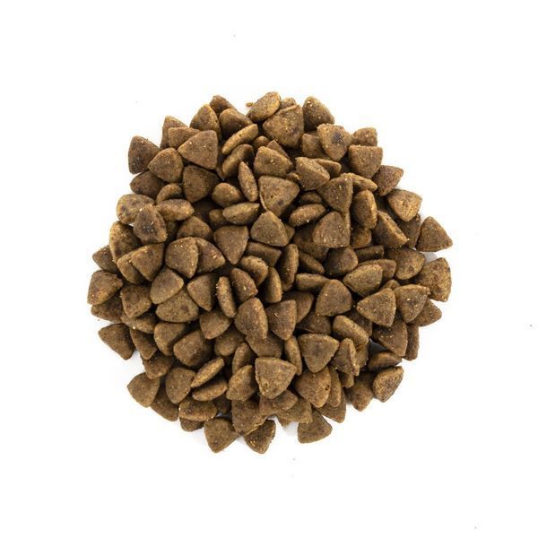 Корм сухий Brit Care Cat Grain Free Adult Activity Support для вуличних та дорослих котів філе індички та курки 2 кг 171298/0822 фото