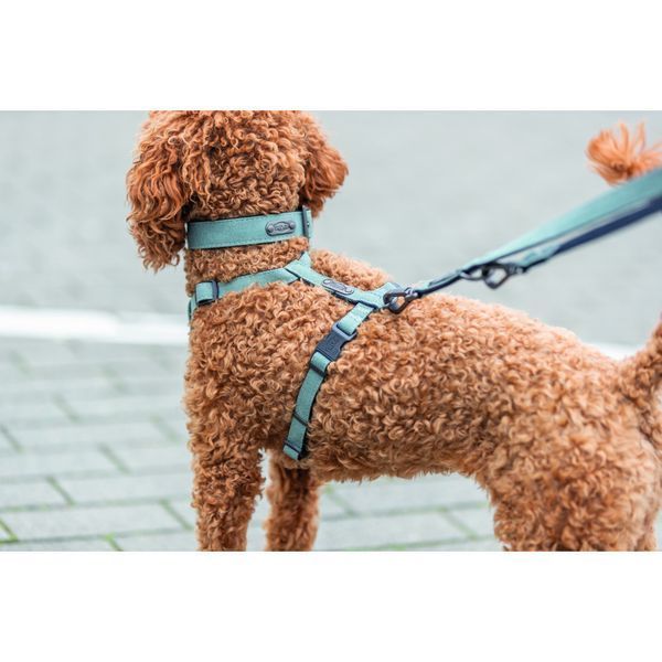 Повідок Trixie CityStyle V-Lead для собак бавовна S&ndash;M 2 м 13 мм світло-зелений 4053032681682 4053032681682 фото