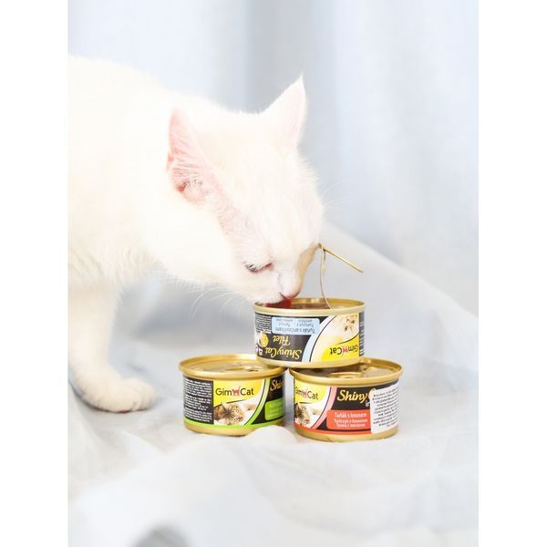 Корм вологий GimCat Shiny Cat для котів з тунцем та креветками в желе 70 г G-413099 /413297 фото