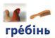 Українська мова. Картки на магнітах. Слово як одиниця мовлення 9789667495145 фото 9