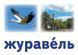 Українська мова. Картки на магнітах. Слово як одиниця мовлення 9789667495145 фото 6