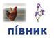 Українська мова. Картки на магнітах. Слово як одиниця мовлення 9789667495145 фото 3