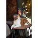 Корм сухий Savory Adult Cat Sensitive Digestion Fresh Lamb and Turkey для дорослих котів з чутливим травленням зі свіжою ягн 4820232630075 фото 5