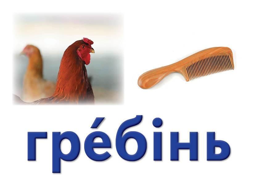 Українська мова. Картки на магнітах. Слово як одиниця мовлення 9789667495145 фото
